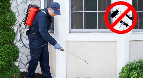 Çiçekdağı Böcek ve Haşere İlaçlama böcek ilaçlama ve haşere kontrolü — ilaclama-tr.com